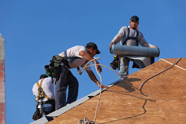 Gutter Installation and Roofing in Earlville, IL