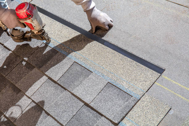 Best Residential Roofing Contractor  in Earlvle, IL